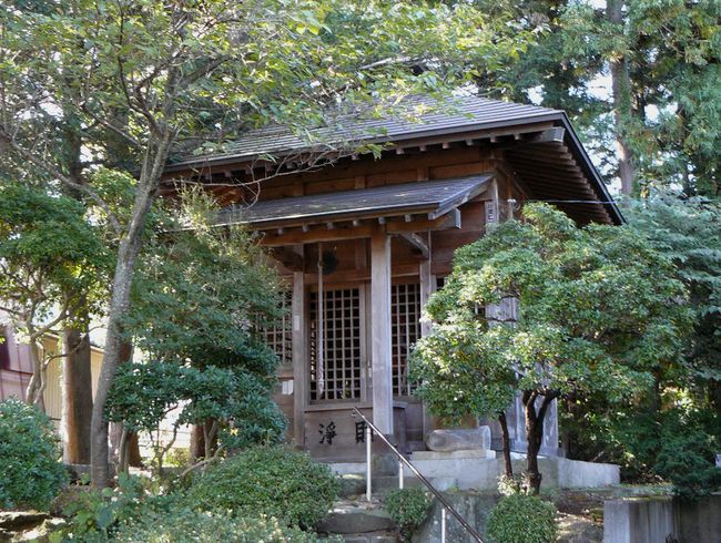 �򖾎��E������t��