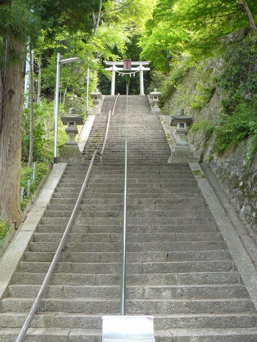 �L�n��א_��