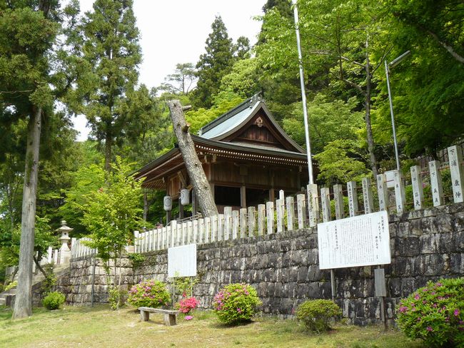 �L�n��א_��