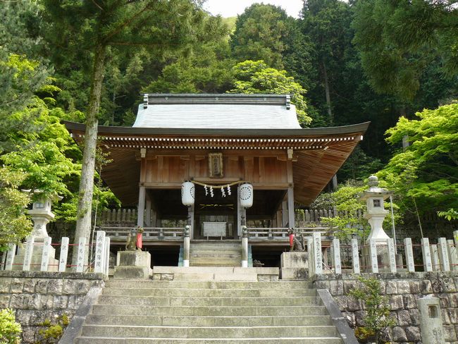 �L�n��א_��