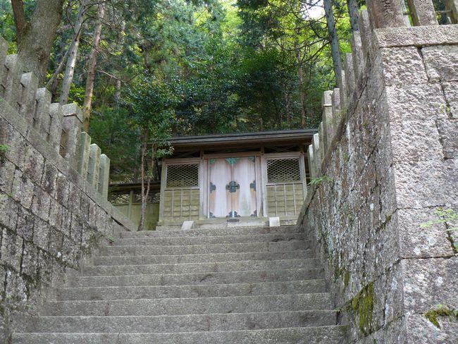 �L�n��א_��