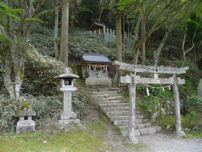 �L�n��א_��