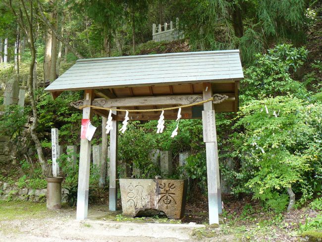 �L�n��א_��