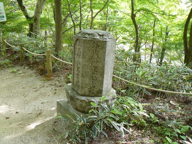 ���󎛌���