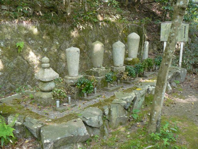 ���󎛌���