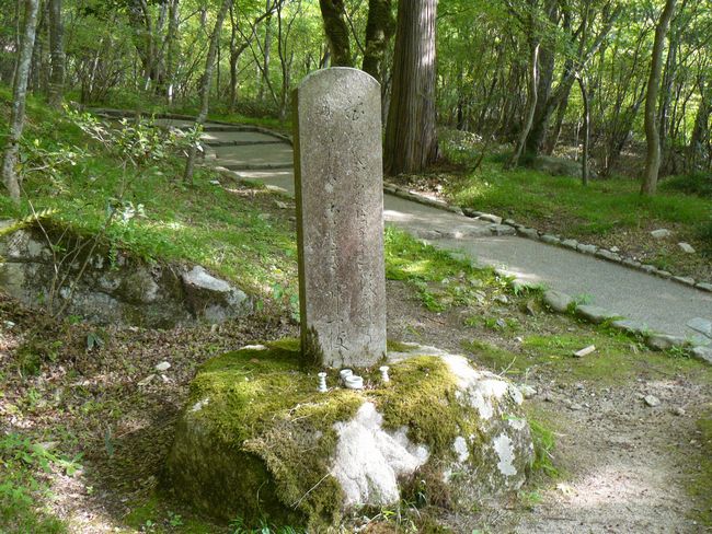 ���󎛌���