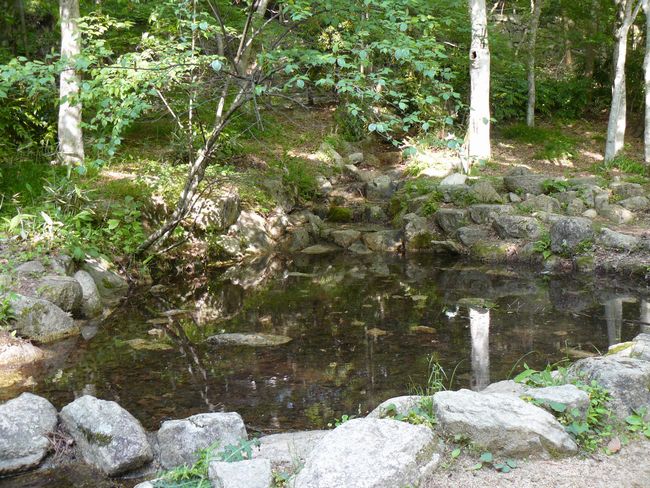 ���󎛌���