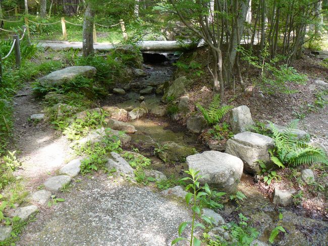 ���󎛌���