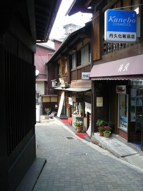 �L�n����E������