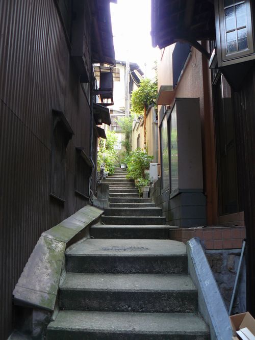 �L�n����E������