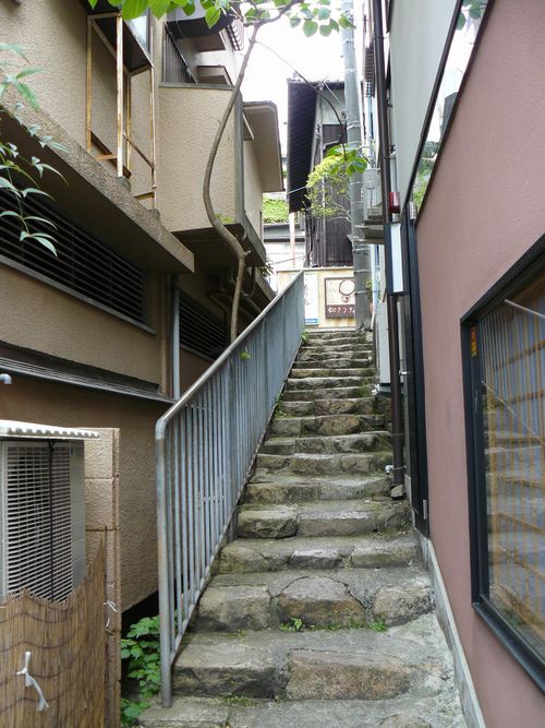 �L�n����E������