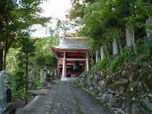 ���m�q����