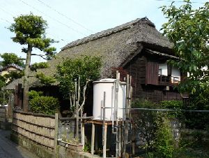 �g�c���A������