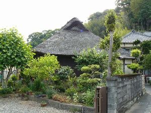 �g�c���A������