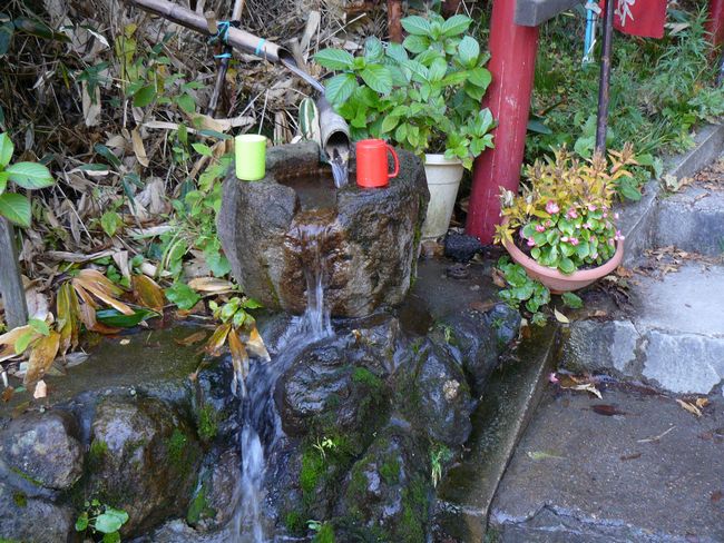 �����א_��