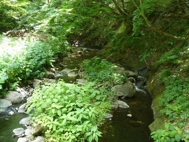 ����n���J