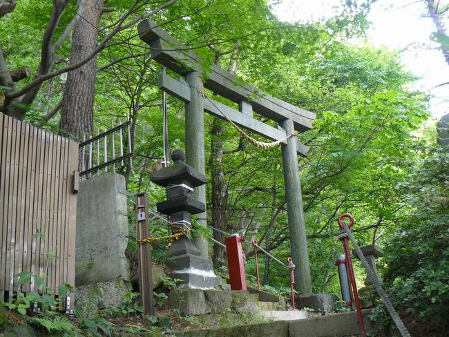 �����_��