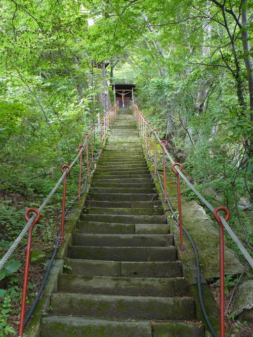 �q����E�����_��