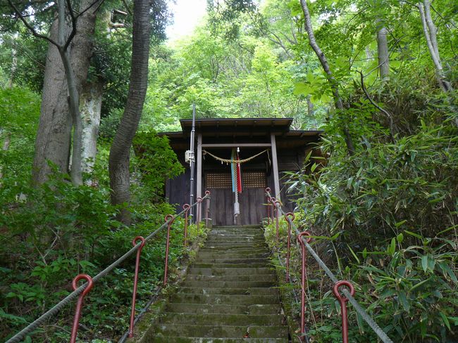 �����_��