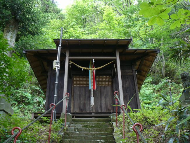 �����_��