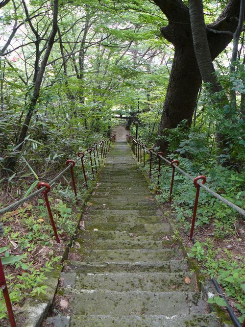 �����_��