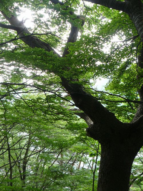 �q����E�����_��