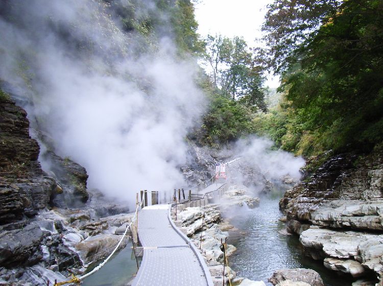 ����������E����X