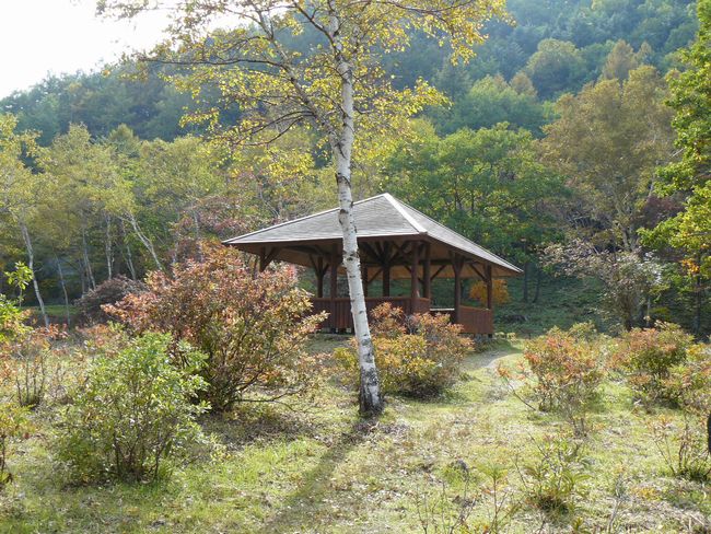 �S�̑��o��