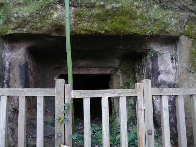 �≮���Չ����Q