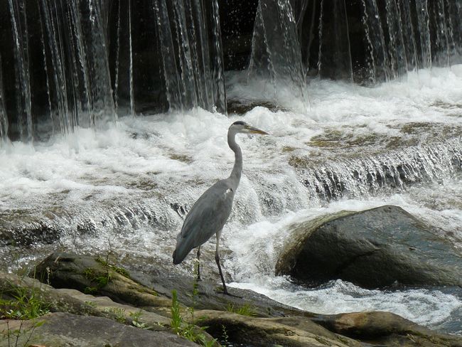 ��ӂ̏o����