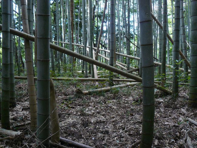 �ʑ��v�Q�R��