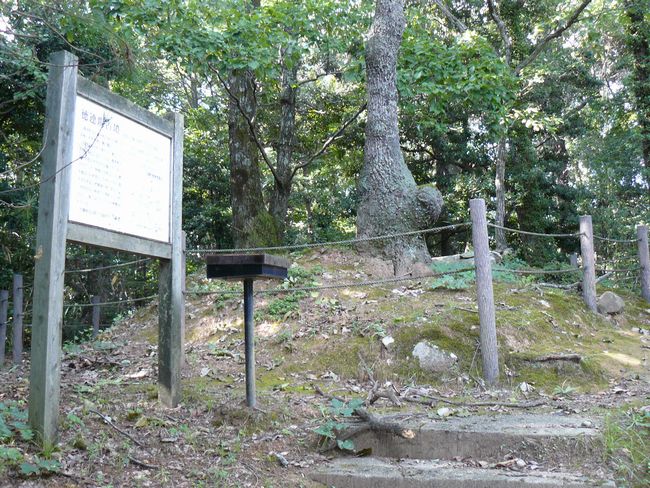 ���A��Õ�