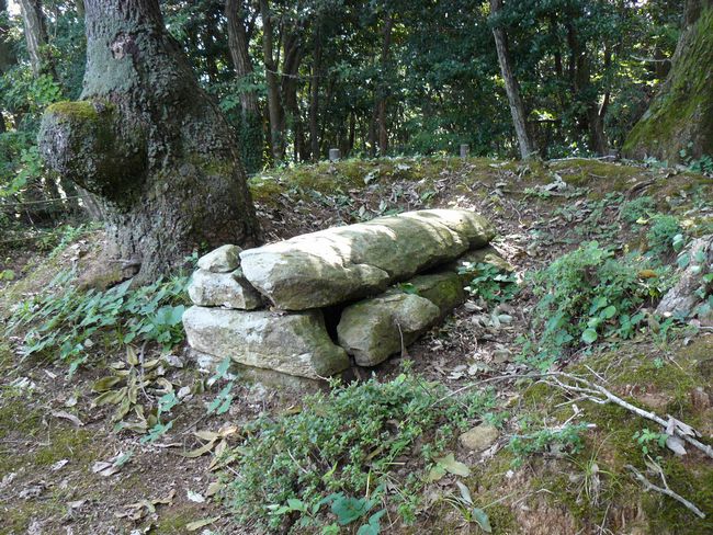 ���A��Õ�