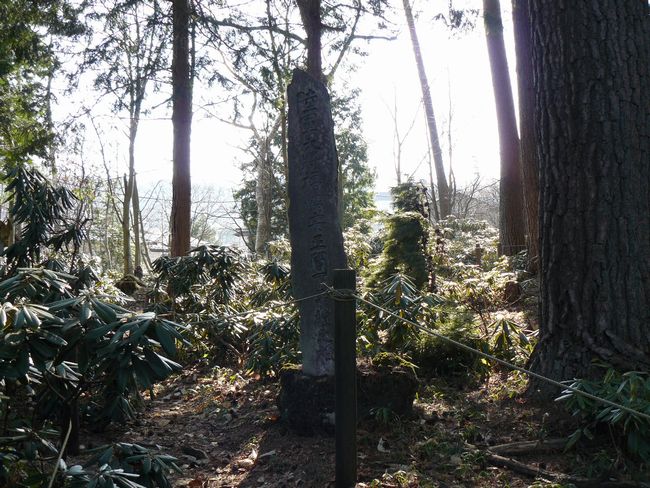 ���É���F�h����